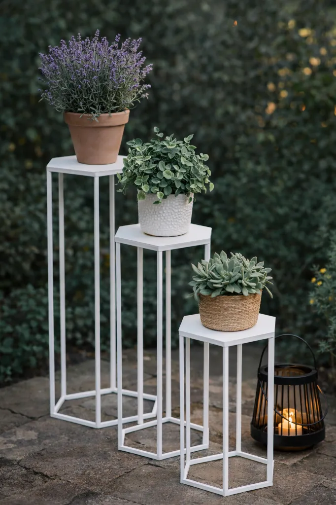 ChatGPT Image Mar 12, 2026, 06_55_31 PM.webp